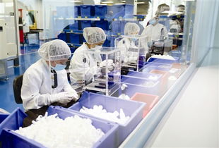 望牛墩每年投千萬助企業(yè)倍增，辦公用品行業(yè)迎發(fā)展新機(jī)遇